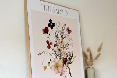 *Gulfhof van Senden - Fenja - Gulfhof van Senden - Fenja (EG/ OG)