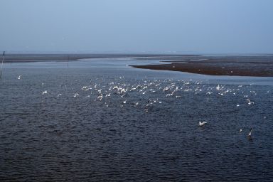 Ferienhaus Barbara, FeWo Vermittlung Nordsee - Ferienhaus Barbara