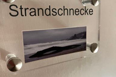 Strandschnecke