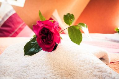 Familiäre Pension & Ferienwohnungen Fischer-Haus - Ferienwohnung 1