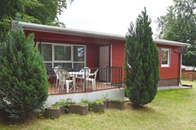 Ferienbungalows am Rand des Buchenwaldes im Ostseebad Sellin - Ferienbungalow A