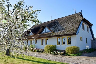 Ferienwohnungen im Fischerdorf und unterm Reetdach - 03 Ferienwohnung mit Gartenterrasse