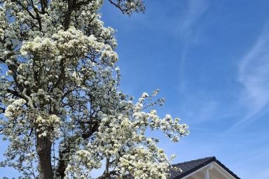Hof Hagen - "Am Birnenbaum" (Neubau)
