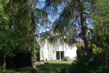 Ferienhaus Rerik Nr.22
