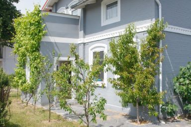 Haus "Familie Nickel" Fewo 1