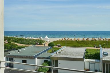 Stranddistel 7 Ostseezauber