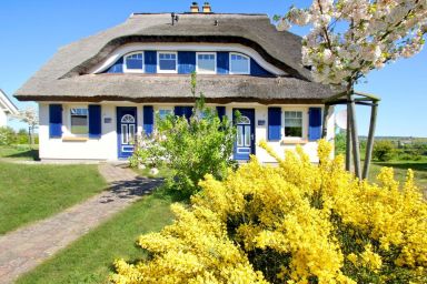 Haus Boddentraum - Am Seglerhafen, Terrasse, Garten, Meerblick - Ferienhaus Boddentraum Abendrot