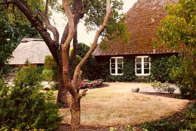 Kätchens Glück - Ferienhaus "Kätchens Glück" in Schuby