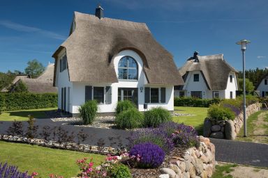 Ferienhaus Schilfrohrsänger 36 - Ferienhaus Schilfrohrsänger 36 - Der Natur ganz nah