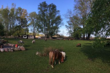 Ferienresort Möwenort Lütow - Ferienwohnunh für max 4 Personen, haustielfreundlich, WLAN, Kamin
