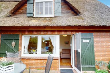 Gollendorf - Ferienhaus "Vier Pfoten Gollendorf" für 5 Gäste und Hund mit Garten - Strandnah