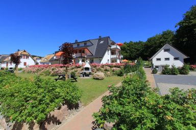 Küstenwaldhaus - Strandnah & neu renoviert: Ferienwohnung im Küstenwaldhaus Koserow
