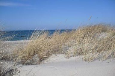 Ferienwohnung in Graal mit Eigener Terrasse
