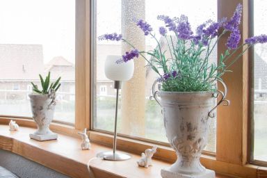 Moin-Moin in Friedrichskoog-Spitze - Moin-Moin in Friedrichskoog-Spitze .1