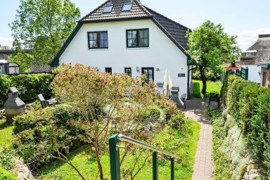 Kormoran - Seeadler .1