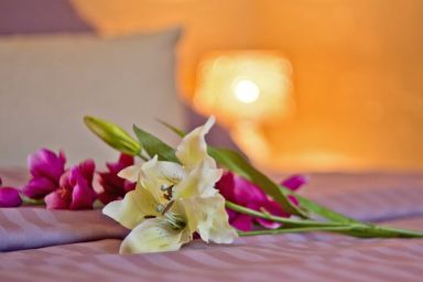 Feriendomizil Korswandt - Ferienwohnung 01 - Liliengruß