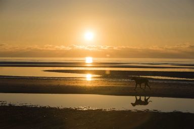 Haus Nordsee - Haus Nordsee Whg 18