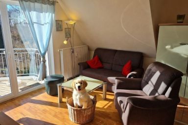 Ferienwohnung Villa Seestern 15