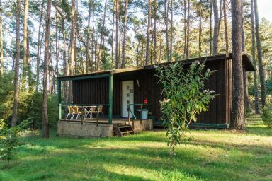 Urlaub im Bungalow - mitten im Wald - Bungalow Nr. 20