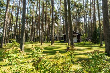 Urlaub im Bungalow - mitten im Wald - Bungalow Nr. 20