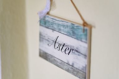 Aster