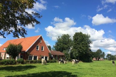 Villa für 10 Personen in Ostfriesland mit Kino, Bar, Sauna und Whirlpool