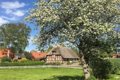 Haus Ruhe unter Reet