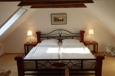 Gut Rattelvitz Galerie E, hochwertig, Sauna, Kamin, eTankstelle, Spielscheune, 15.000qm Park Land