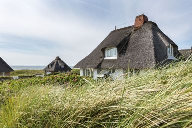 Sturmnest - Viel mehr "Sylt pur" als im Sturmnest können Sie inselweit nicht finden.