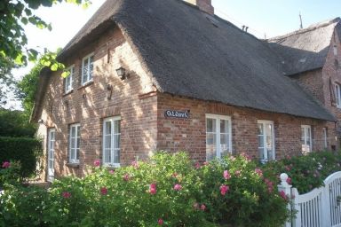 Hahnenhof - Wohnung 6 - Liebevoll eingerichtet: Sauna, Kamin & Terrasse