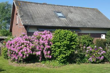 Ferienhaus für 6 Personen ca. 120 qm in Jade-Sehestedt, Nordseeküste Deutschland (Butjadingen)