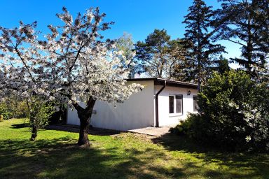 Ferienhaus mit Terrasse mitten im Grünen