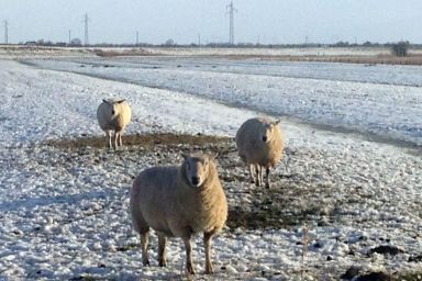 Haus Utlande - Haus Utlande Whg 37