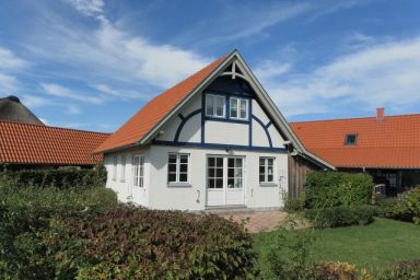 Sternschnuppe
