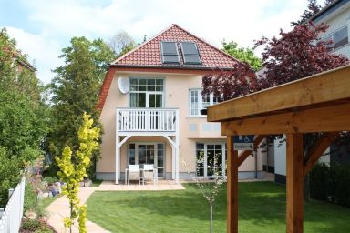 Muschel Whg. Delfin