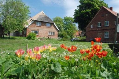 Ferienwohnungen in Groß Zicker auf der Insel Rügen - große Ferienwohnung mit Gartenblick und Terrasse (A)