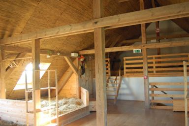 Heukojen auf dem Ferienhof - Schlafplatz in Heukoje ( Box 3)