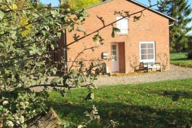 Cottage Wildrose
