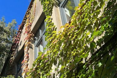 Alte Büdnerei  - "Gartenappartement"