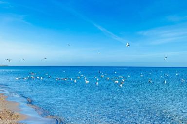 Ferienwohnung Jasmin Ostsee