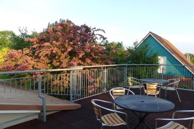 Am Langenwerder Whg. 6 - Ferienwohnung Am Langenwerder Nr. 6 auf Gollwitz