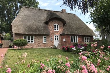 WattGut - Ferienhaus WattGut in Oevenum: Sauna, Kaminofen & Garten für 6 Gäste