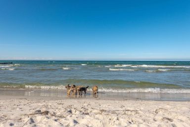 Ferienhaus am Bodden vor Fischland und der Ostsee