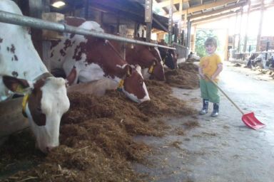 Ferienhof Struve - Österlied