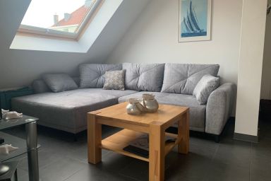 Seestern41 - Seestern41 .1