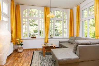 Hortensie - Sonnenblume .2