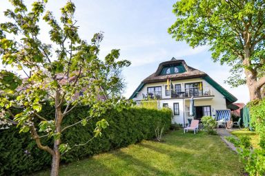 Strandflieder - Moosbeere .3