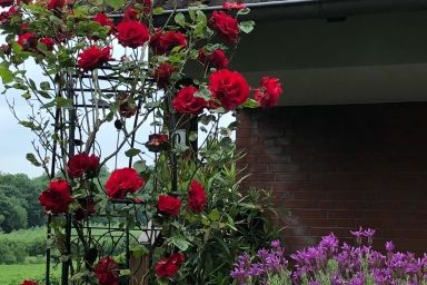 Ferienwohnung Bandt - Appartement/Fewo, Dusche, WC