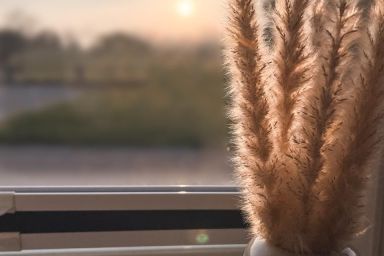 NORDISCH NATURE - Ferienhof am Deich - Bude 2