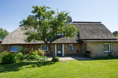Ferienhaus Augustin mit Reetdach - Ferienhaus Augustin mit Reetdach im Ostseebad Baabe